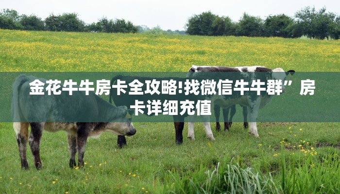  金花牛牛房卡全攻略!找微信牛牛群”房卡详细充值