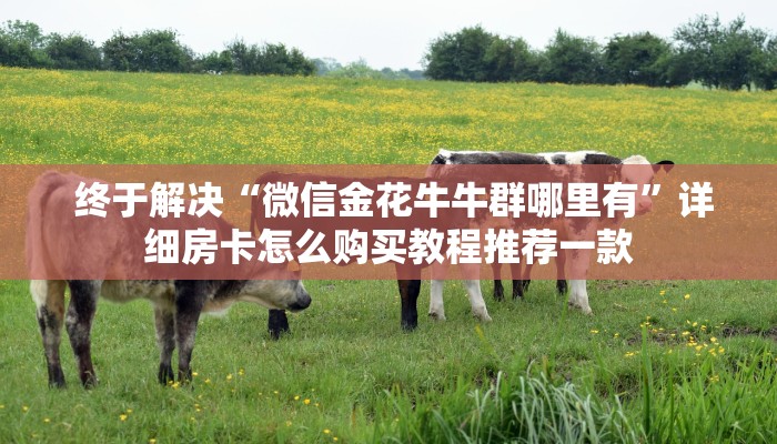  终于知道怎么找到“微信牛牛金花房卡怎么弄哪里有”详细分享开挂教程