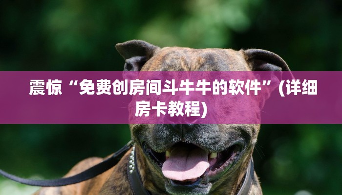  玩家测评“微信金花房卡哪里买”房卡实战经验