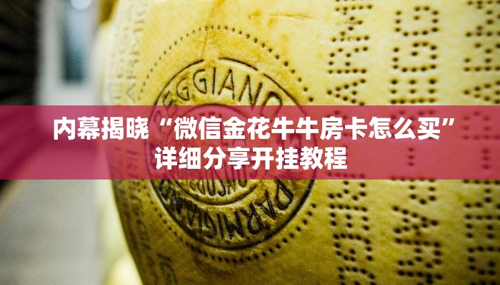  7分钟了解“微信金花房卡哪里买”房卡详细充值