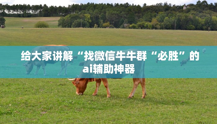  给大家讲解“找微信牛牛群“必胜”的ai辅助神器
