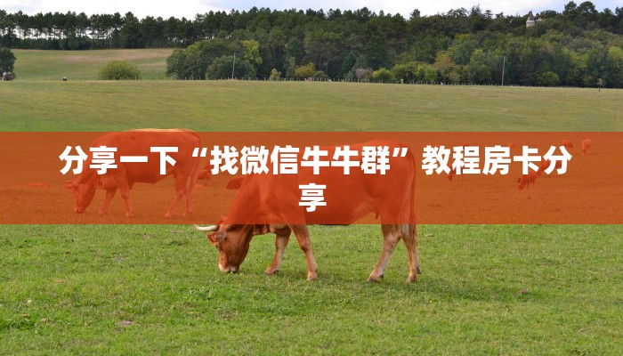  分享一下“找微信牛牛群”教程房卡分享