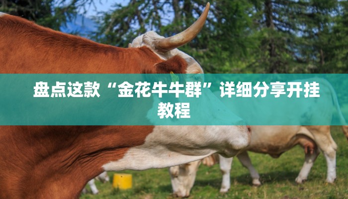  盘点这款“金花牛牛群”详细分享开挂教程