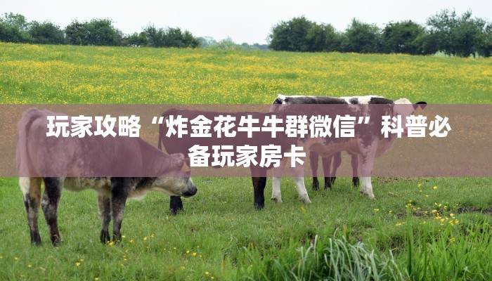  玩家攻略“炸金花牛牛群微信”科普必备玩家房卡
