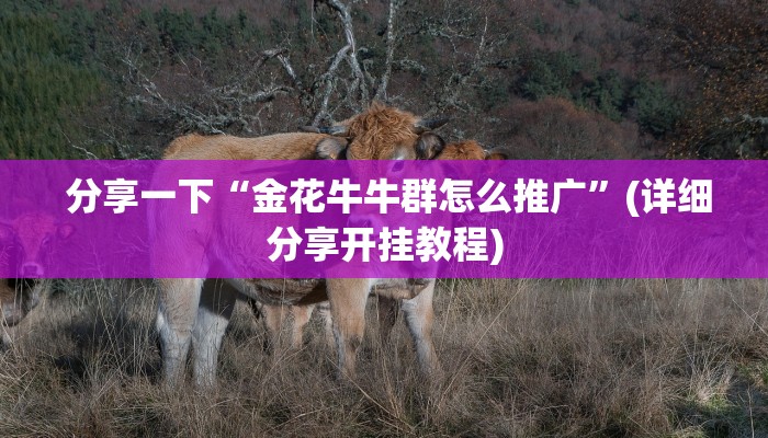  分享一下“金花牛牛群怎么推广”(详细分享开挂教程)