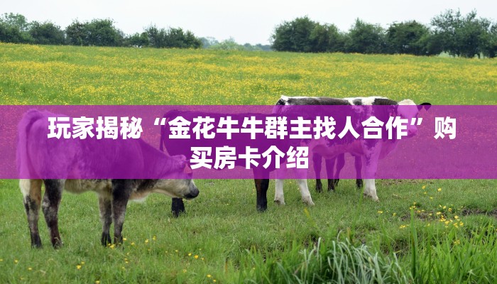  玩家必看教程“金花牛牛房卡怎么买青龙大厅”获取房卡教程