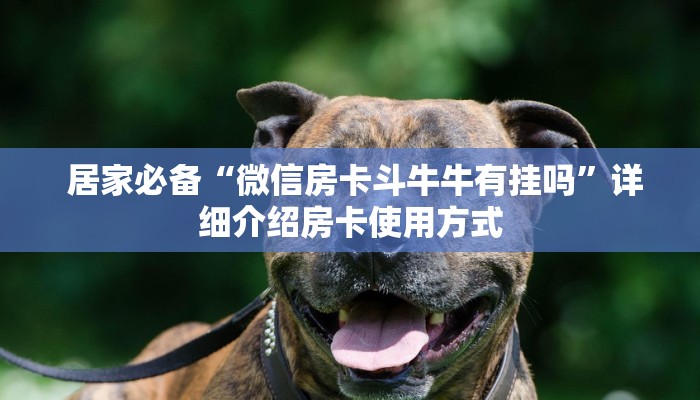  居家必备“微信房卡斗牛牛有挂吗”详细介绍房卡使用方式