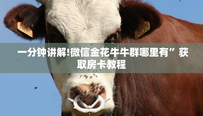 一分钟讲解!微信金花牛牛群哪里有”获取房卡教程