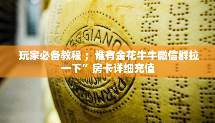  玩家必备教程 ；谁有金花牛牛微信群拉一下”房卡详细充值