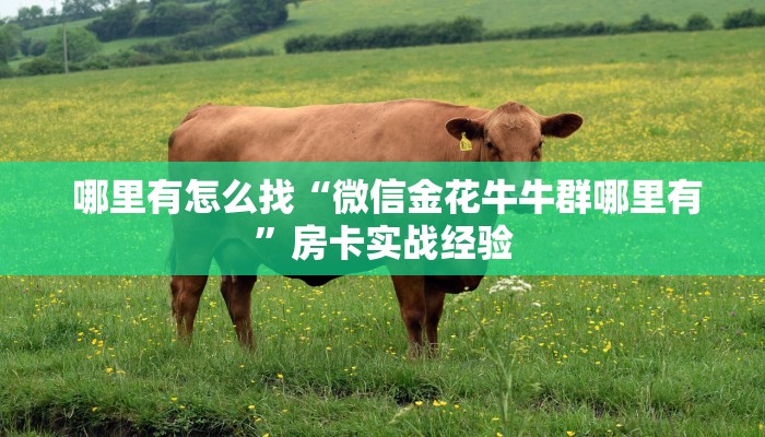  哪里有怎么找“微信金花牛牛群哪里有”房卡实战经验