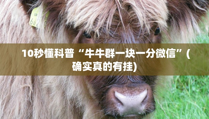  10秒懂科普“牛牛群一块一分微信”(确实真的有挂)