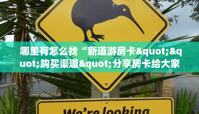  哪里有怎么找“新道游房卡""购买渠道"分享房卡给大家