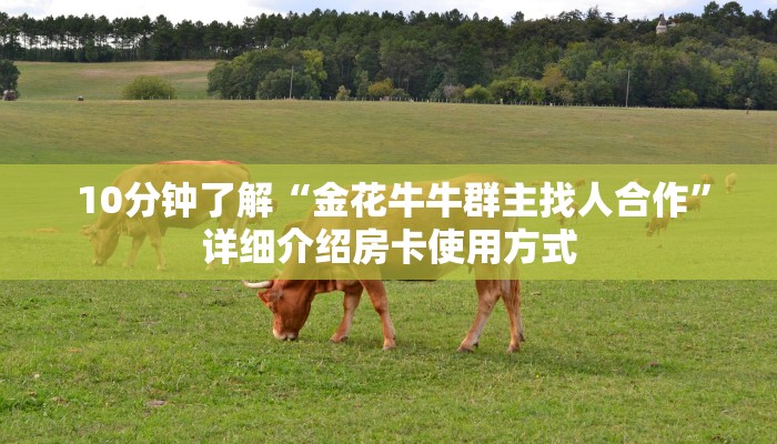  10分钟了解“金花牛牛群主找人合作”详细介绍房卡使用方式
