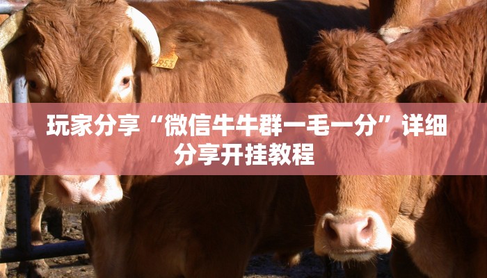  玩家测评“微信玩炸金花房卡链接”(详细分享开挂教程)