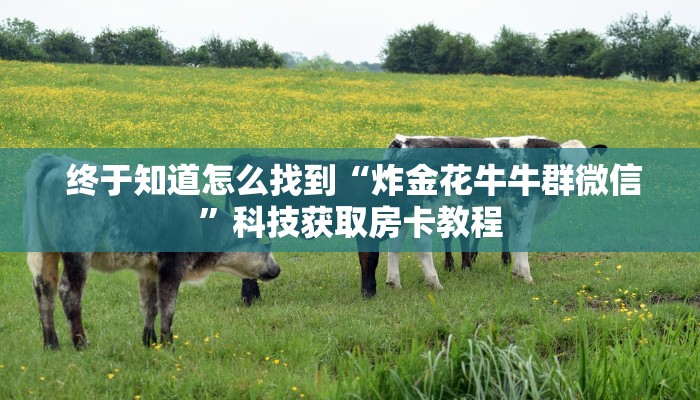 终于知道怎么找到“炸金花牛牛群微信”科技获取房卡教程 终于知道怎么找到“炸金花牛牛群微信”科技获取房卡教程