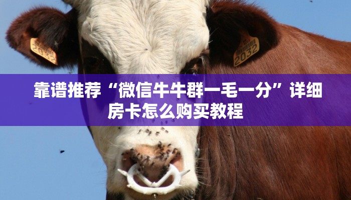  靠谱推荐“微信牛牛群一毛一分”详细房卡怎么购买教程