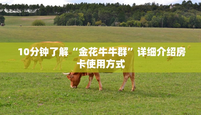 一分钟解决!微信金花房卡哪里买”详细获取房卡教程