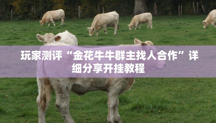  房卡秒懂“皇豪互众官网”如何获取房卡