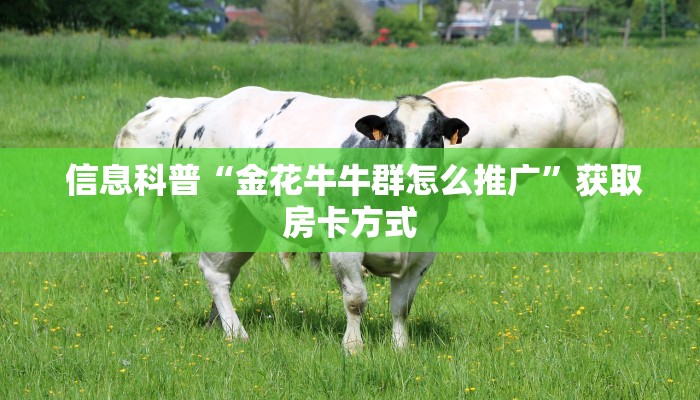  靠谱推荐“微信海金花房间卡怎么买”教程房卡分享