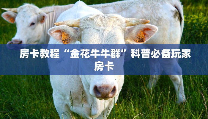  信息科普“皇豪互众怎么买房卡”房卡怎么购买