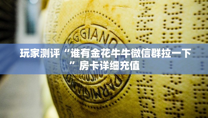  玩家测评“谁有金花牛牛微信群拉一下”房卡详细充值