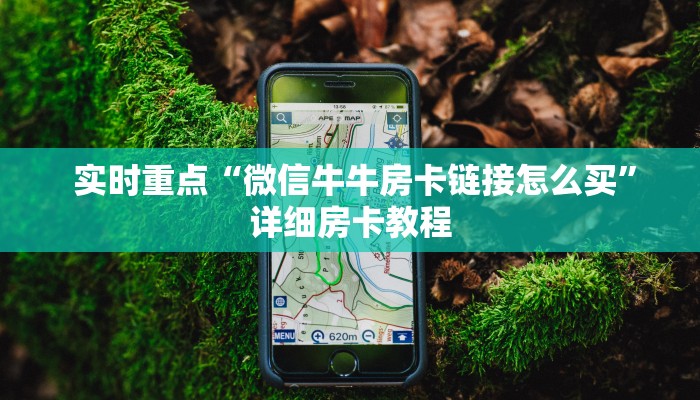  必备教程“皇豪互娱怎么弄房卡”使用房卡购买教程