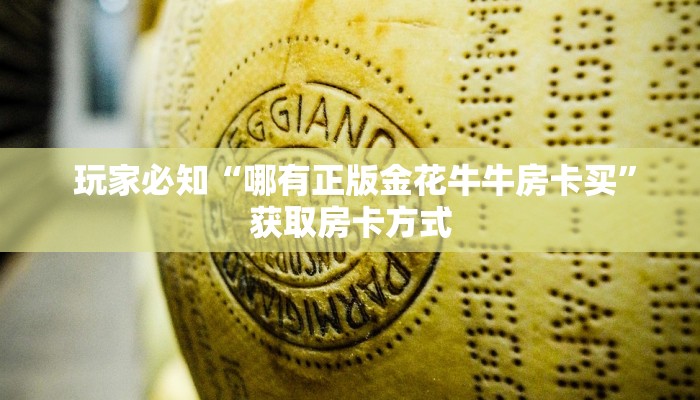  玩家必知“哪有正版金花牛牛房卡买”获取房卡方式