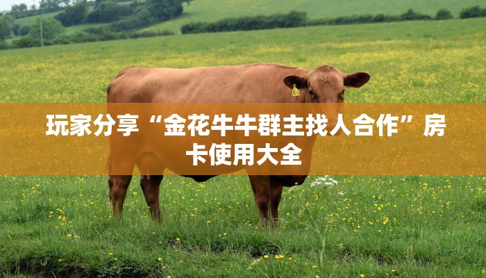 玩家分享“金花牛牛群主找人合作”房卡使用大全 玩家分享“金花牛牛群主找人合作”房卡使用大全