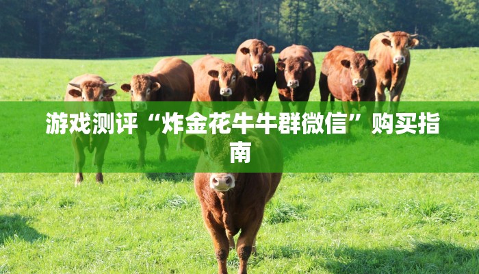  游戏测评“炸金花牛牛群微信”购买指南