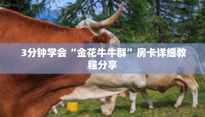  3分钟学会“金花牛牛群”房卡详细教程分享