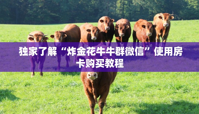  独家了解“炸金花牛牛群微信”使用房卡购买教程