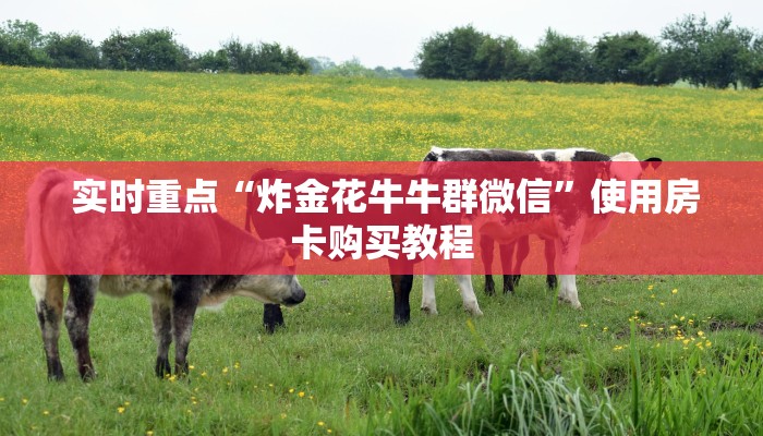  实时重点“炸金花牛牛群微信”使用房卡购买教程