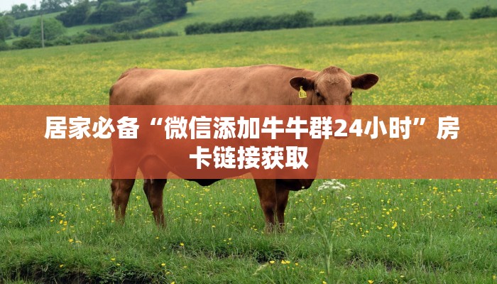  居家必备“微信添加牛牛群24小时”房卡链接获取