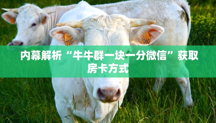  内幕解析“牛牛群一块一分微信”获取房卡方式