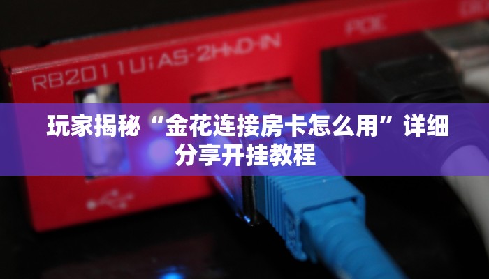  玩家揭秘“金花连接房卡怎么用”详细分享开挂教程