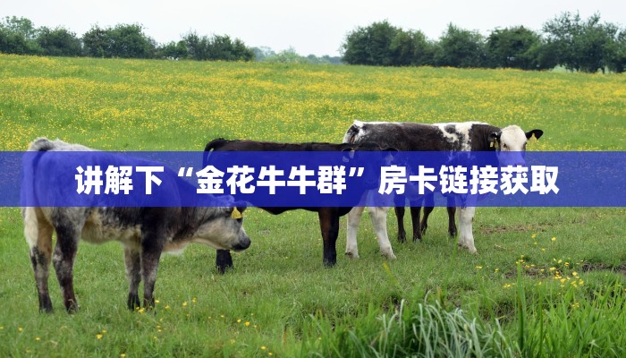  讲解下“金花牛牛群”房卡链接获取