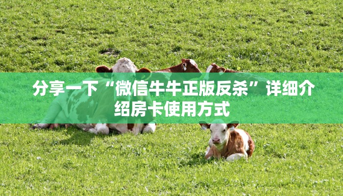  分享一下“微信牛牛正版反杀”详细介绍房卡使用方式